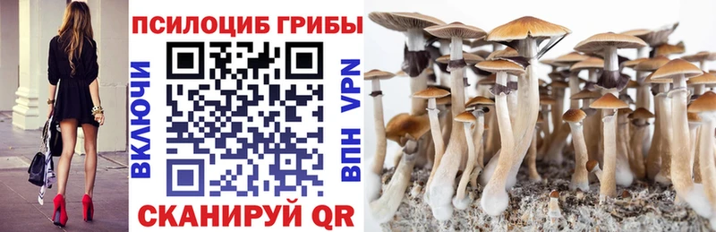 Галлюциногенные грибы Psilocybe  Лесосибирск 